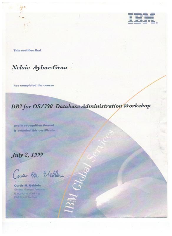 Nelsie 1999 IBM DB2 OS 390 Admin