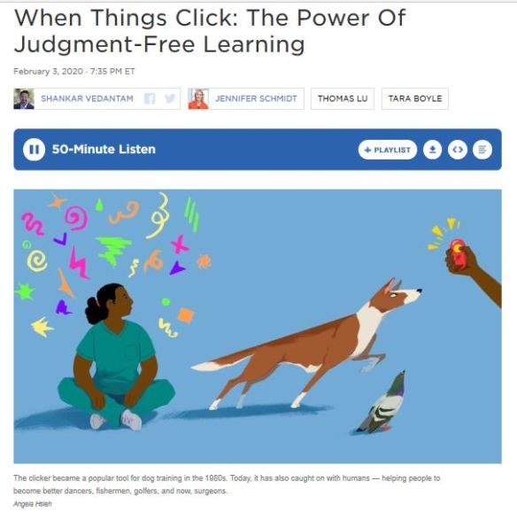 Judgement free teaching