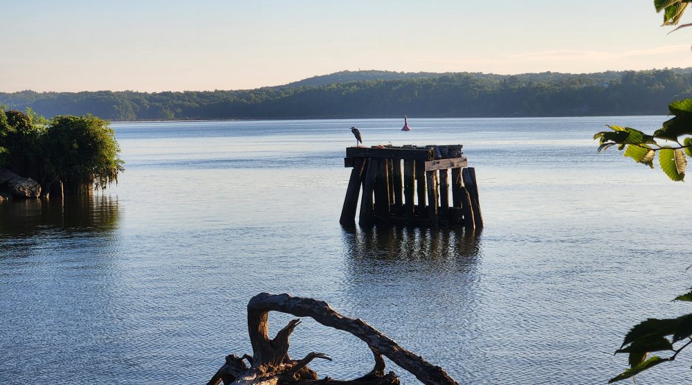 the Rondout Rower