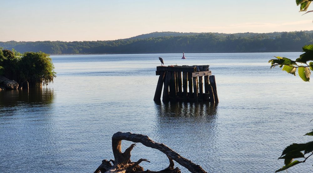 the Rondout Rower