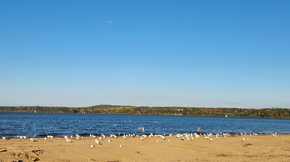 the Rondout Rower