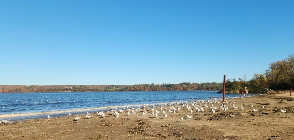 the Rondout Rower